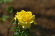 image0258