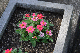 image0265
