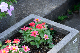 image0267