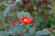 image0268