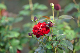 image0270