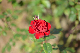 image0279
