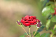 image0280