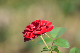 image0282