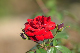 image0283