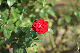 image0287