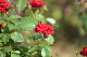 image0288