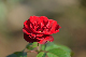 image0289