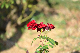 image0290