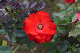 image0291