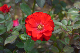 image0292