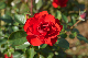 image0296