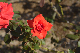 image0299