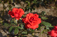 image0300