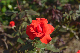 image0301