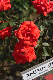 image0302