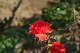 image0303