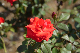 image0304