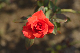 image0307