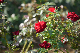 image0311