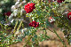 image0312