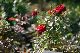 image0314