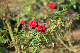 image0318