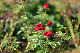 image0319