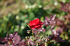image0322