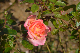 image0325