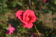 image0327