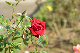 image0328