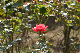 image0331