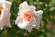 image0334