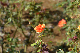 image0336