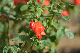 image0341