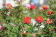 image0343