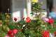image0344