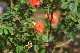 image0346