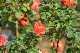image0347