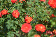 image0348