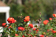 image0349