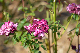 image0350