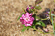 image0351