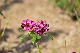 image0353