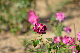 image0354