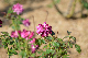 image0355