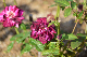 image0357