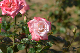 image0359