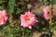 image0361